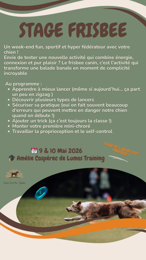 Stage Frisbee canin Jura