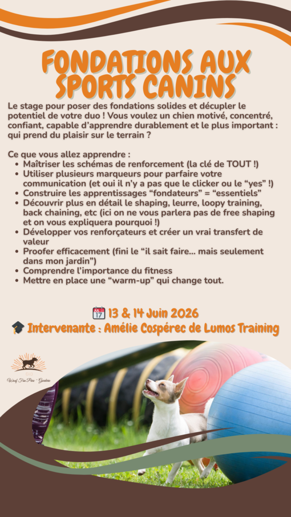 Stage fondations aux sports canin