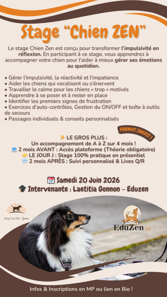Stage Chien Zen Laetitia Gonnon EDUZEN