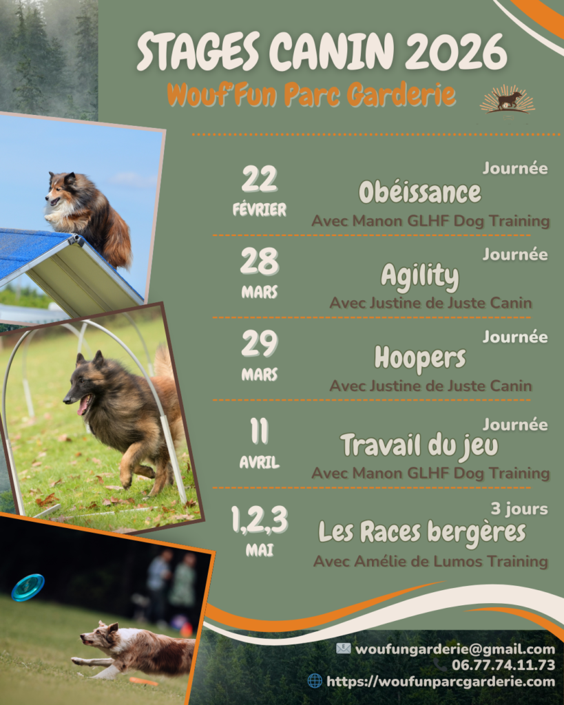 Stages canin 2026